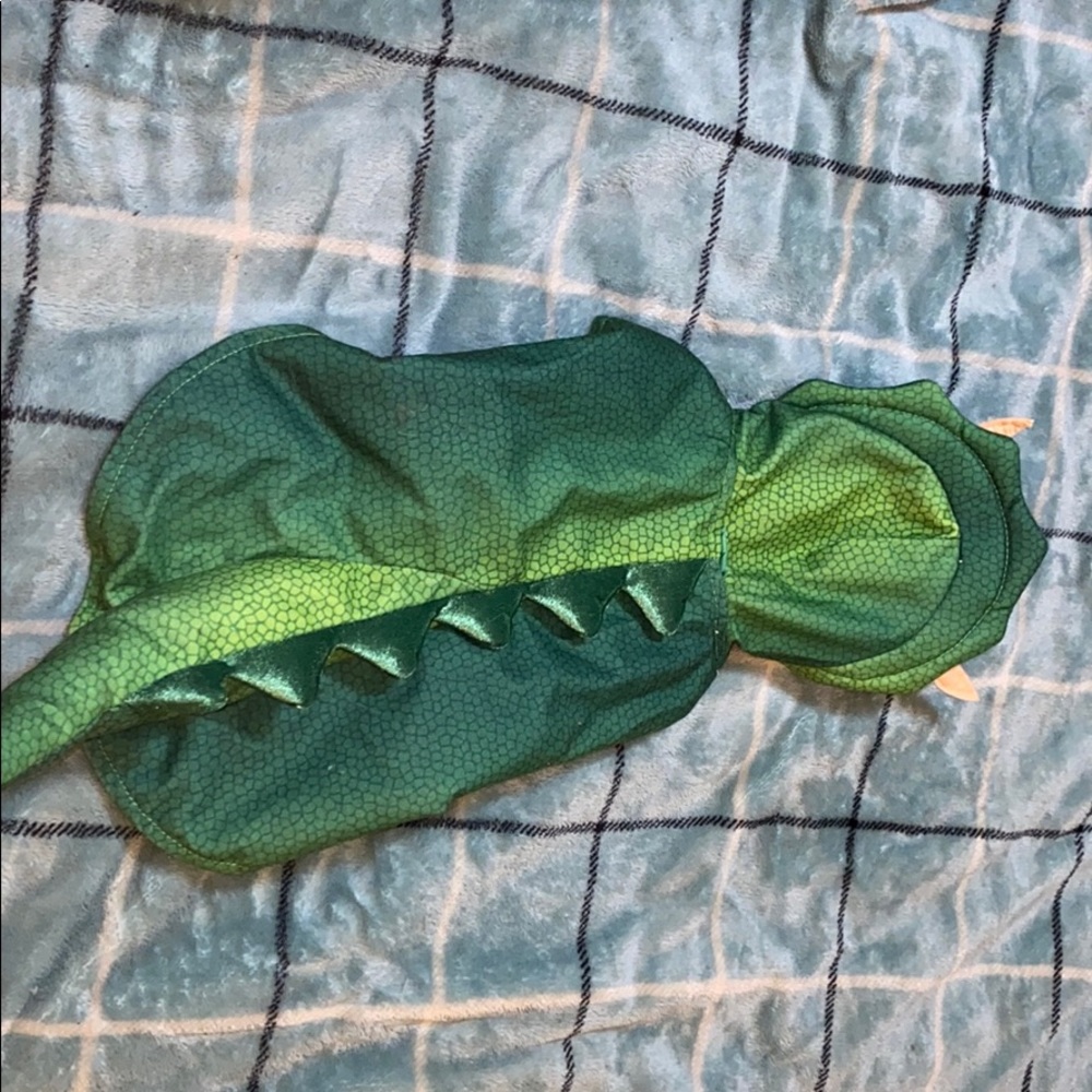 Dog dragon halloween costume